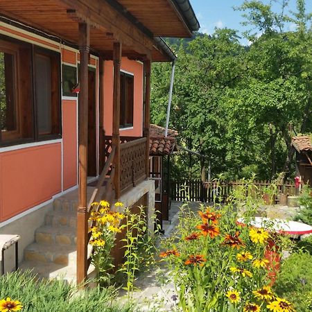 Mechta Guest House كوبريفشتيتسا المظهر الخارجي الصورة