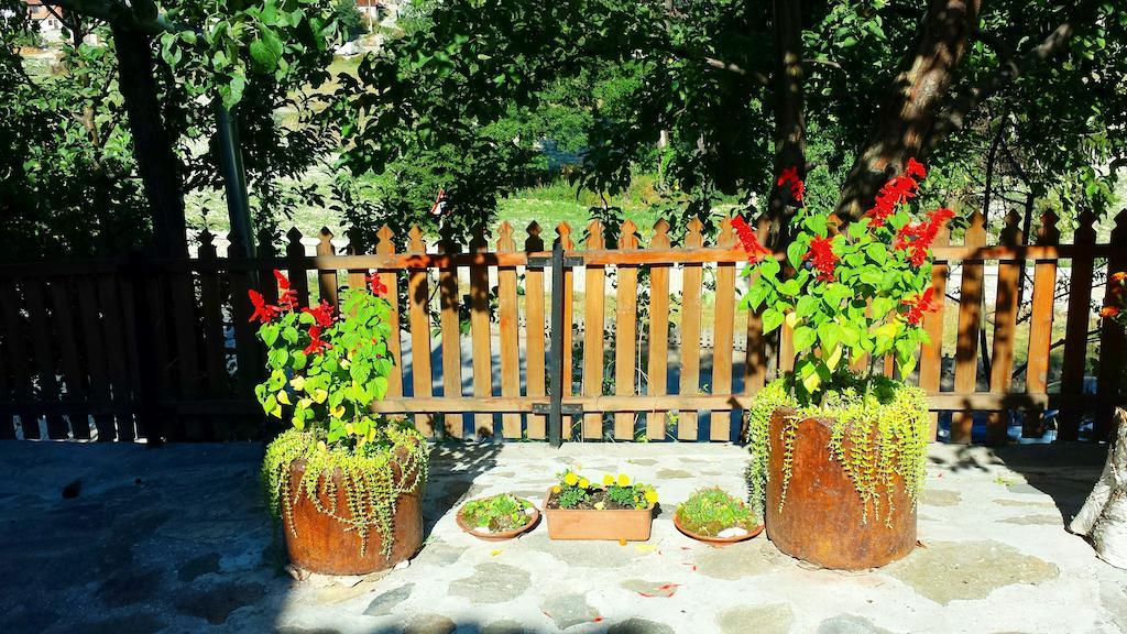 Mechta Guest House كوبريفشتيتسا المظهر الخارجي الصورة