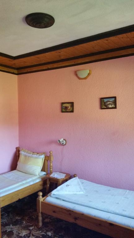 Mechta Guest House كوبريفشتيتسا المظهر الخارجي الصورة