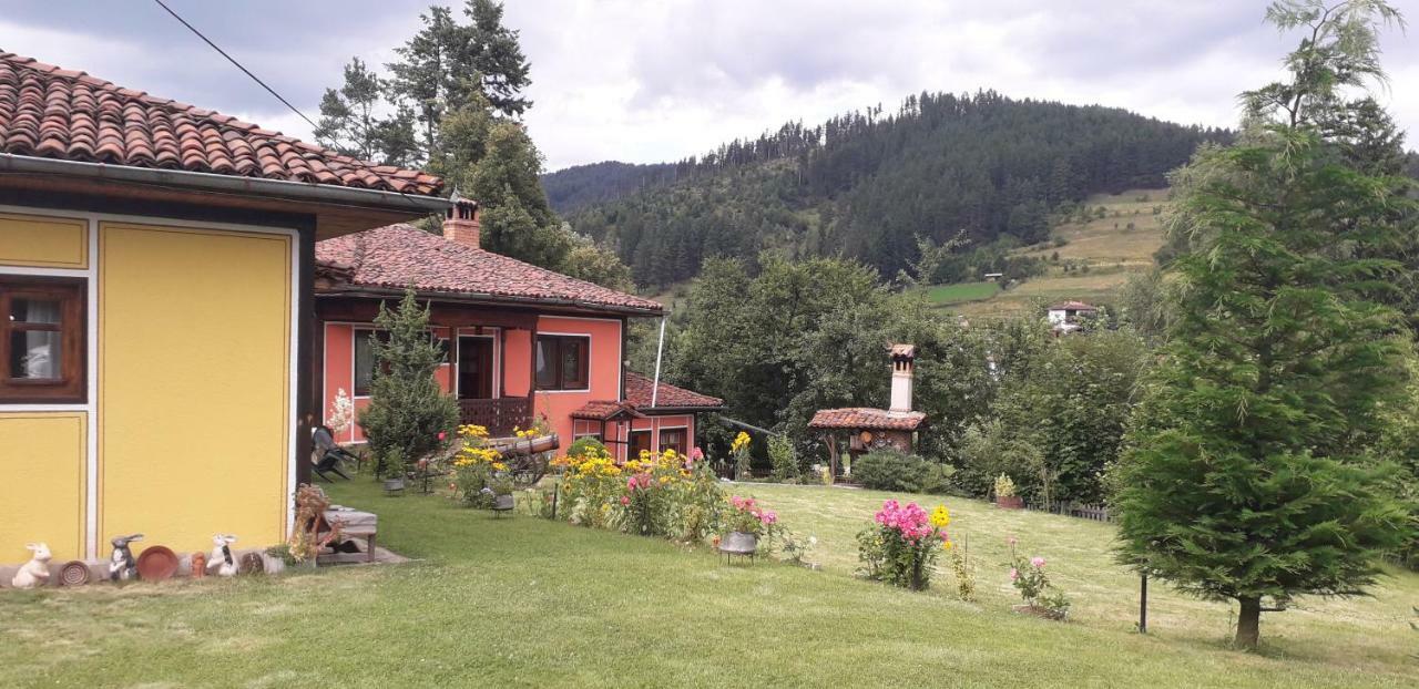 Mechta Guest House كوبريفشتيتسا المظهر الخارجي الصورة