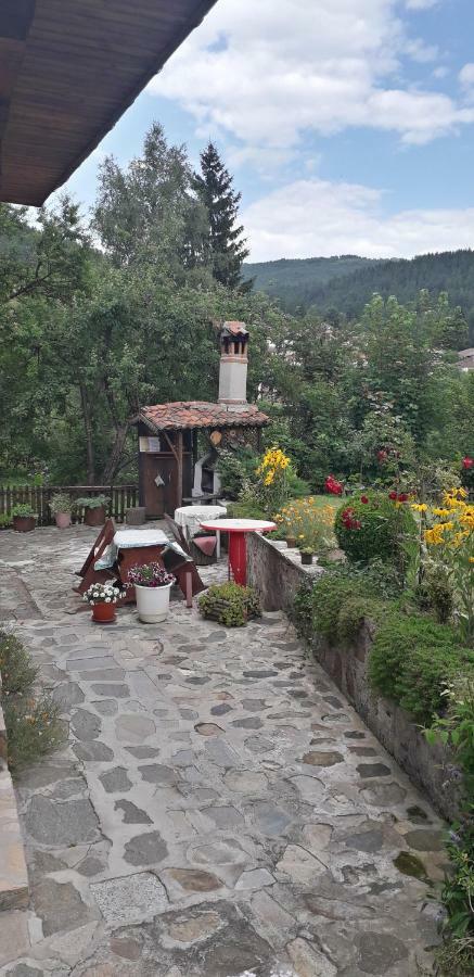 Mechta Guest House كوبريفشتيتسا المظهر الخارجي الصورة