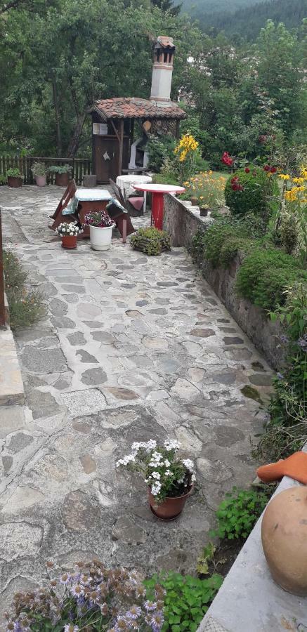 Mechta Guest House كوبريفشتيتسا المظهر الخارجي الصورة